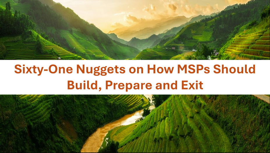 Sixty-One Nuggets on How MSPs Should Build, Prepare and Exit