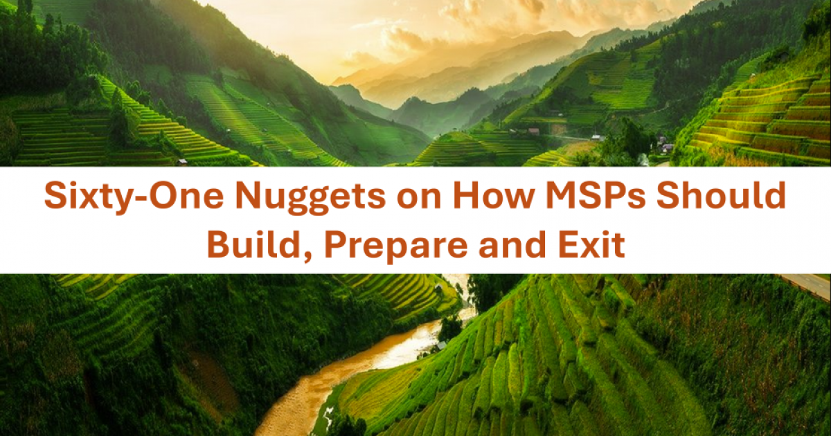 Sixty-One Nuggets On How MSPs Should Build, Prepare and Exit