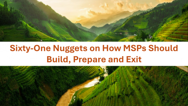 Sixty-One Nuggets On How MSPs Should Build, Prepare and Exit